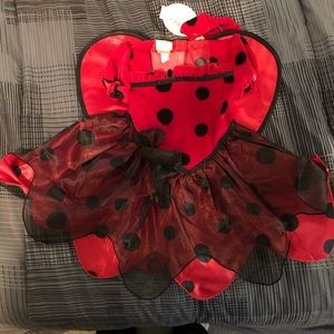 Ladybug Halloween Costume size 12-18 months NWT